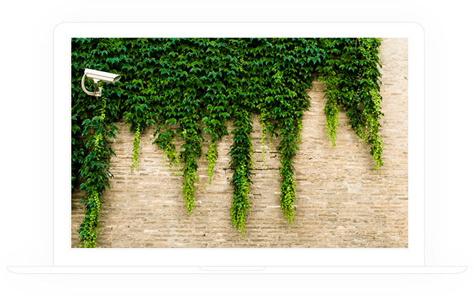 De camera aan de muur met planten
